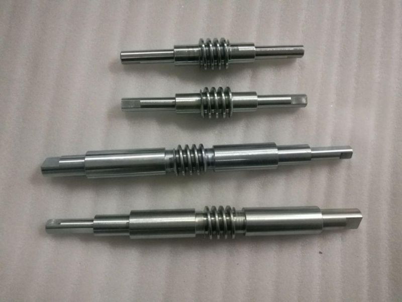 High Quality Custom Precision Steel Worm Gear Shaft