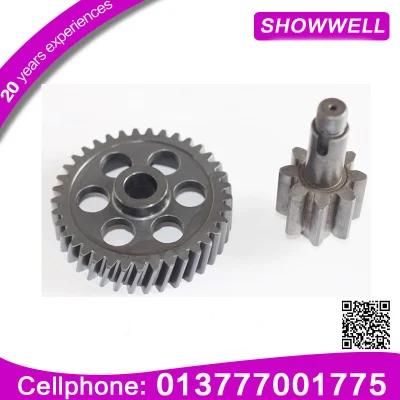 Custom Made Straight Tooth Transmission Spur Gear for Reducer Planetary/Transmission/Starter Gear