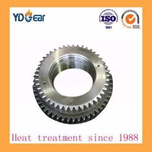Helical Transmission Duplicate Pinion Gear Used on Cement Industry Gear Box