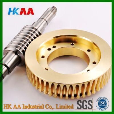 Brass Worm Gear, Mini Worm Gear