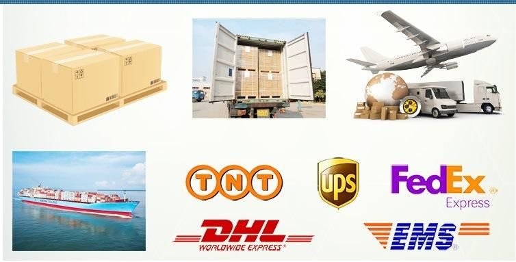 Promotion Straight Teeth Planetary Gear Reducer for Automation Equipment