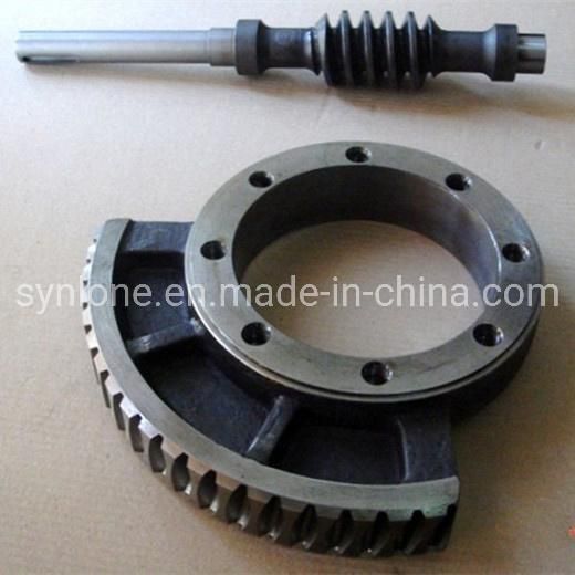 OEM Customized Stainless Steel Worm Wheel/Worm Shaft