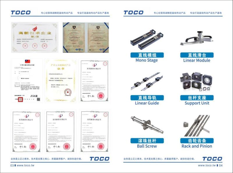 Linear Guide, Balck, Blocks with /Without Flange