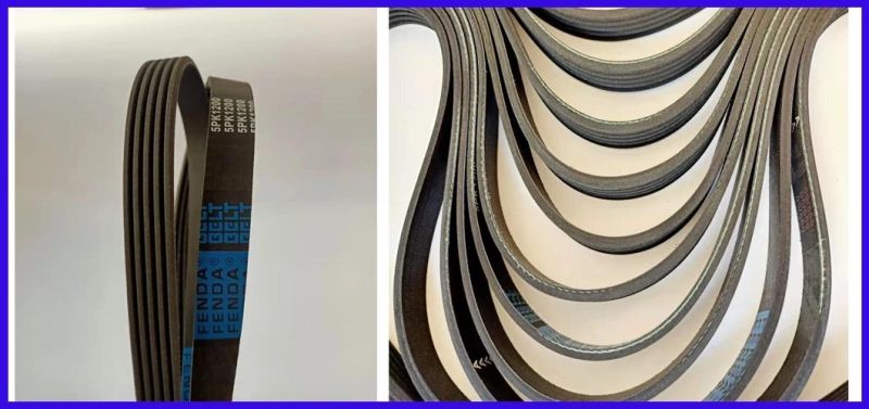 Fenda for African The Middle East Russia Market 6pk1700 Poly V Belts Auto Belts