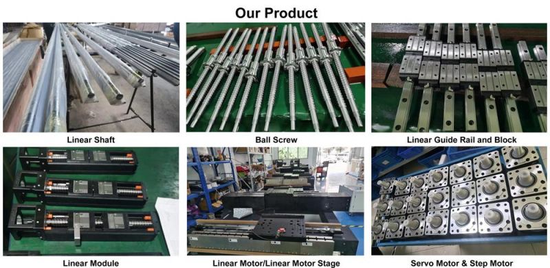 High Precision Linear Actuator Single Axis Robot Customized Motorized Stage Motion Linear Module