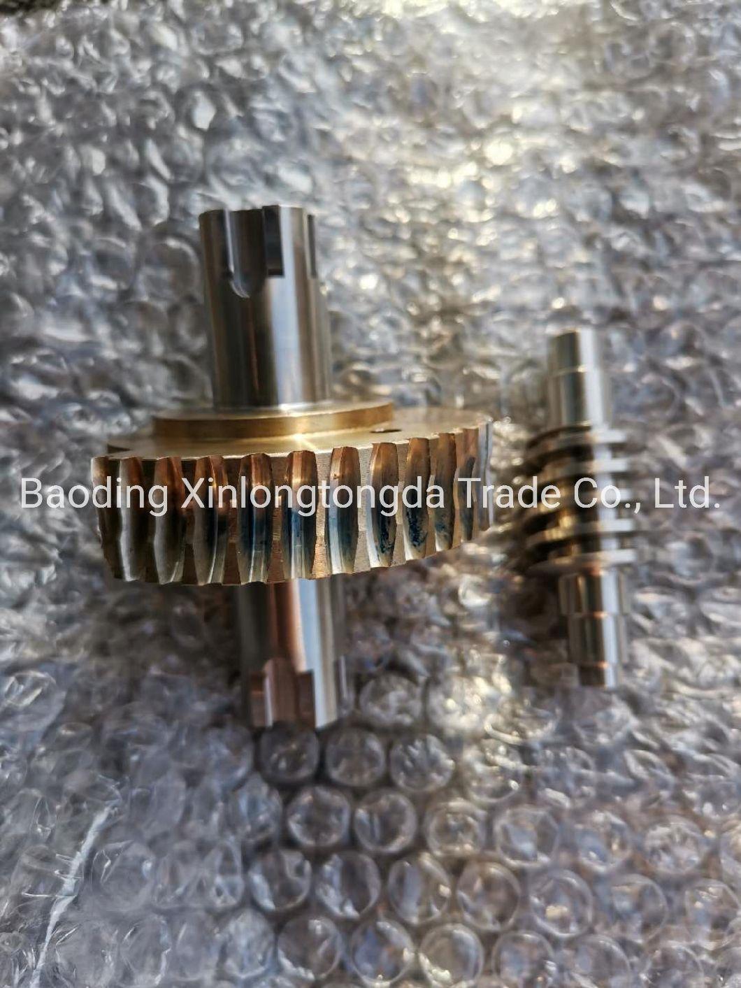 OEM Metal Parts Manufacturer Machinery Gear Worm and Shaft