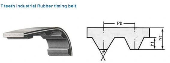 High Quality Double Sided Rubber Timing Belts D-8m D-5m D-14m D-H