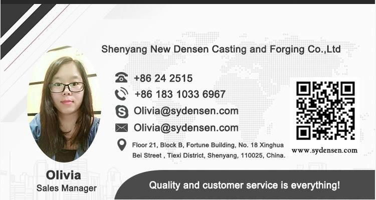 Densen Customized SWC-Bf Type Universal Crowfoot Couplings, Universal Shaft Coupling, SWC Universal Coupling