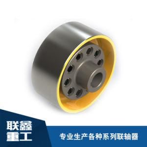 Custom Design Flexible Coupling with Brake Wheel