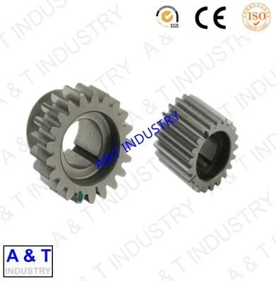 Made in China Pinion Gear of Pg-2
