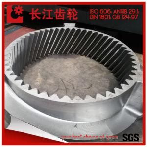 Carbon Steel Spur Ring Gear Inner