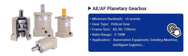 ZD High Precision Planetary Gearbox