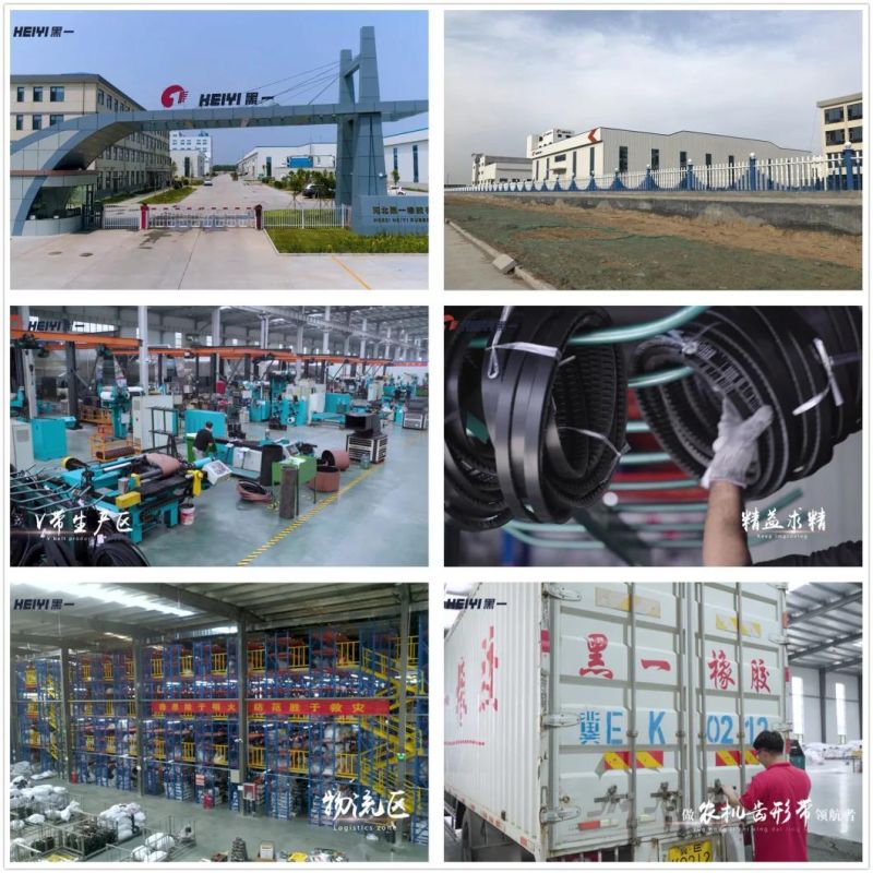Toothed Drive V Belt AV10*850la Car Parts Made in China
