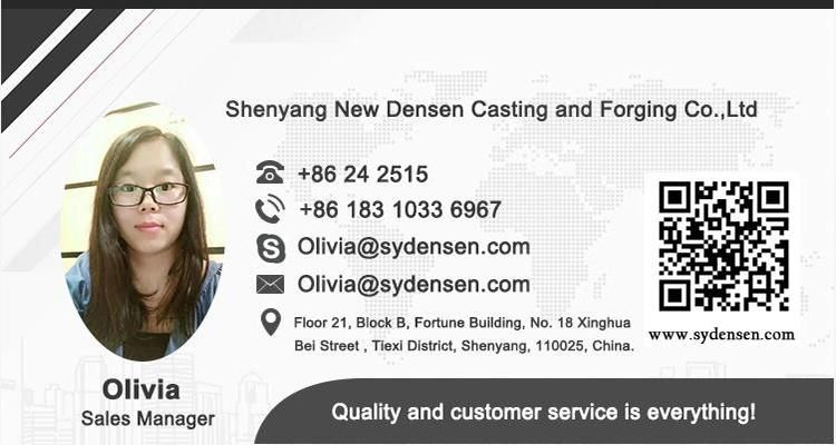 Densen Customized Fluid Coupling for Conveyor, Hydraulic Gear Fluid Coupling, Limited Torque Fluid Coupling