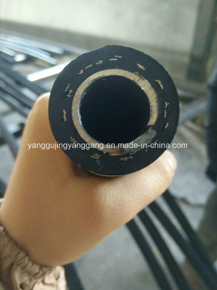 Flexible Rubber Hose (JYG_)