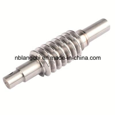 Stainless Steel Worm Endless Screw