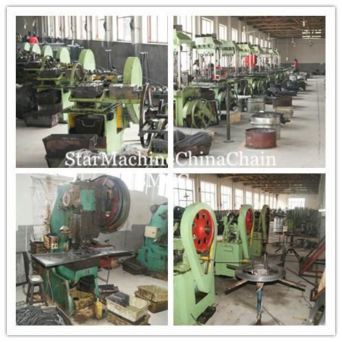 Transmission Belt Gearbox Parts General Duty Conveyor Non-Standard Double Row Overhead Roller Chain
